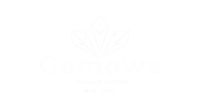 Gemowa1-removebg-preview